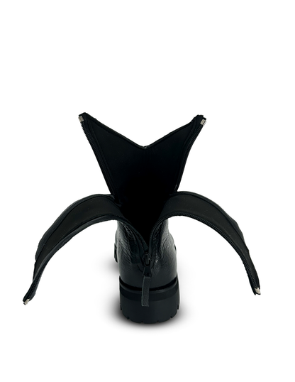 BLOOM - Helleborus Black